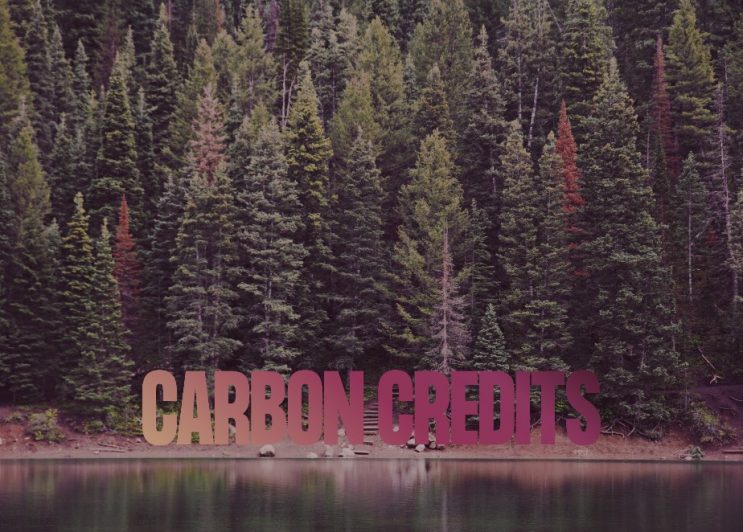 Strathsquare_Point_Carbon_Credits